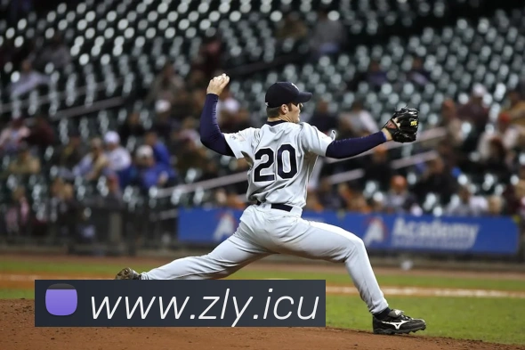 半岛网址平台生态图